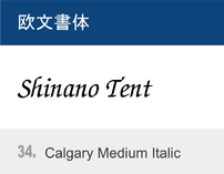 34. Calgary Medium Italic